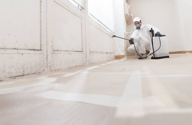 24/7 Emergency Mold Removal experts in Lexington, TN